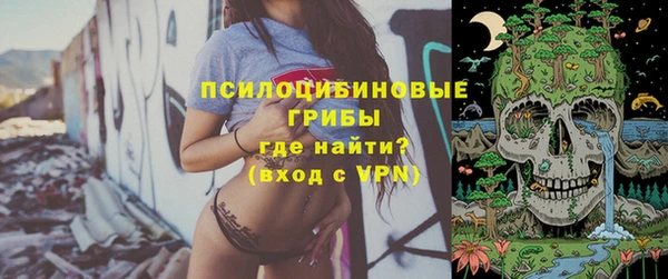 спиды Белокуриха